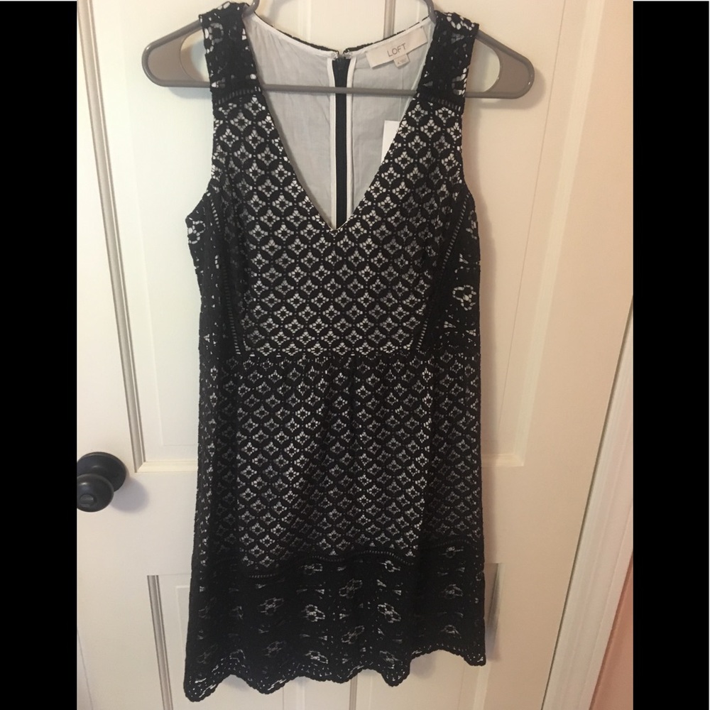NWT Loft lace overlay dress